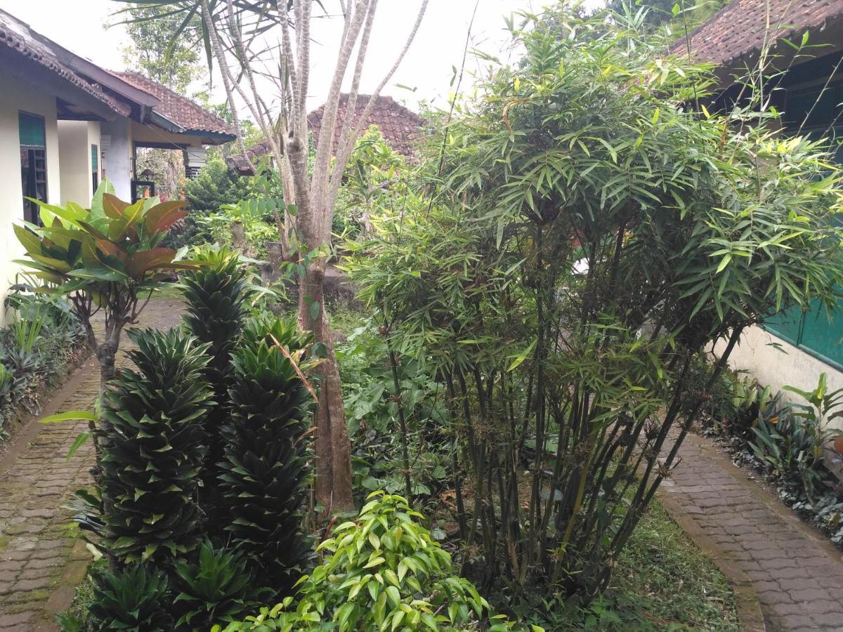 Dhangin Taman Karangasem Exteriör bild